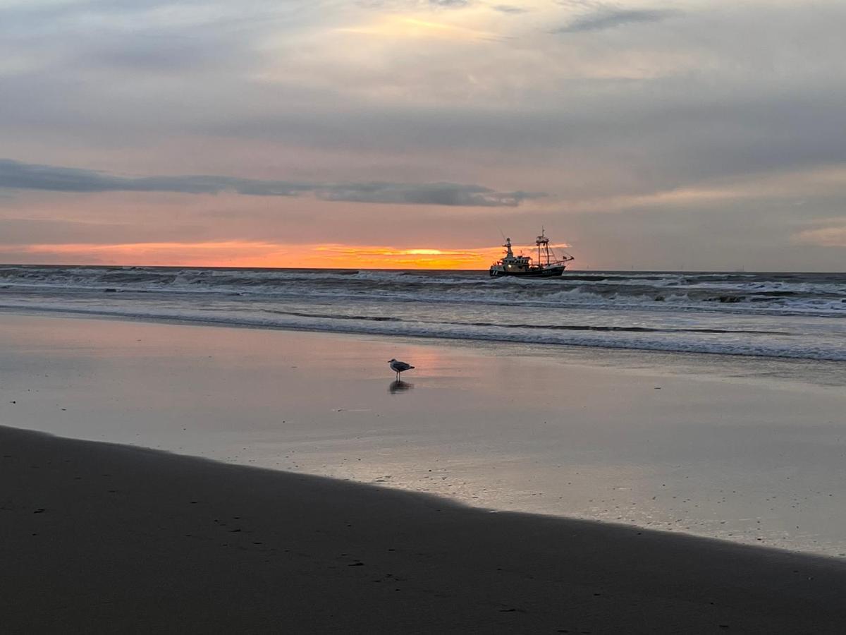 @54 Apartman Zandvoort Kültér fotó
