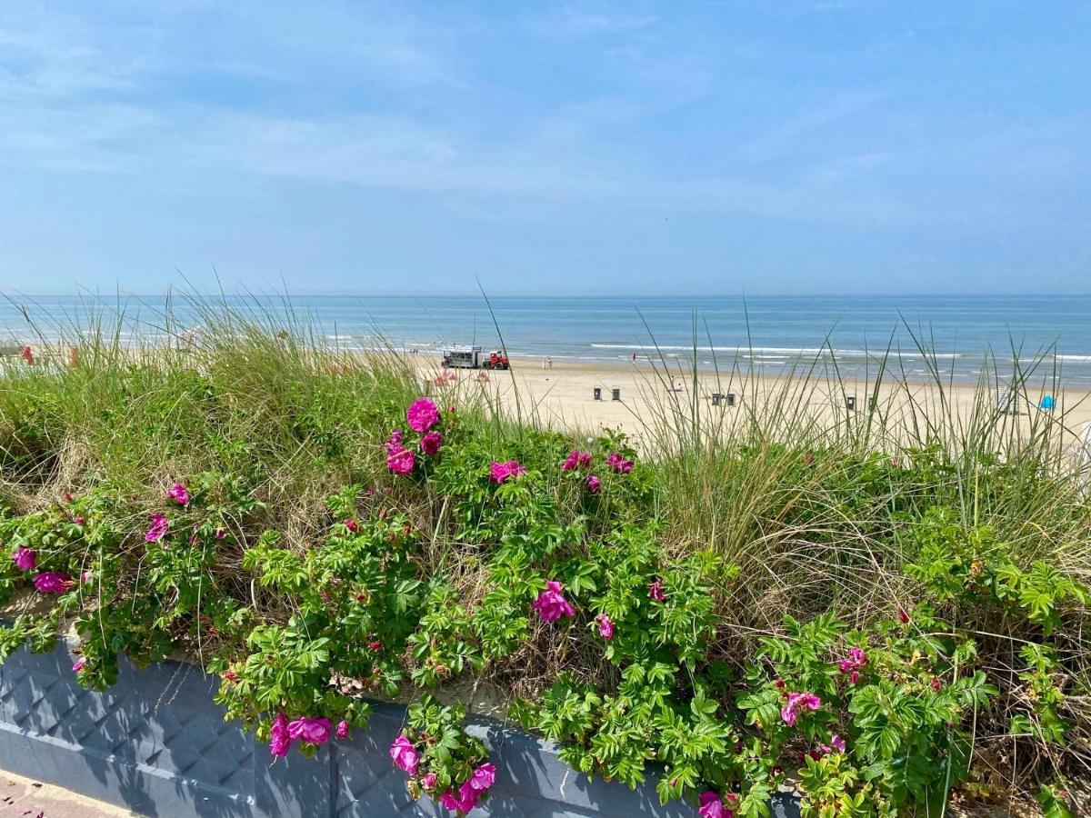 @54 Apartman Zandvoort Kültér fotó